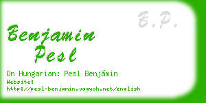 benjamin pesl business card
